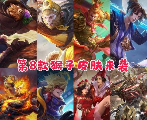 猴哥最新爆料,娱乐圈最新爆料大揭秘！